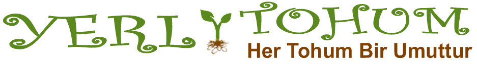 organiktohum.net
